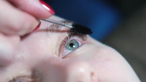 Makeup Artist Applies Tint to Eyelashes Close Up