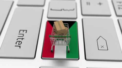 Cartons with MADE IN KUWAIT Text and Shopping Cart