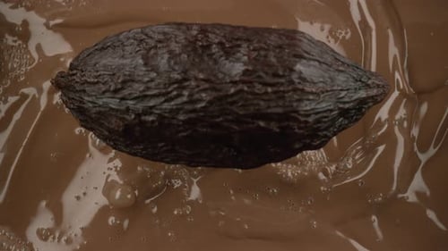 Chocolate Cocoa Pod Splashing into Melted Chocolate
