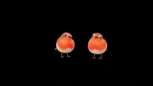 Two Cute Bird Orange