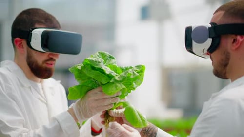 Researchers Using VR Studying Plant Science Indoors