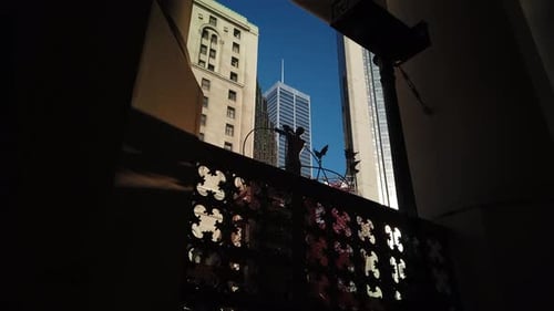 Point of view looking upwards and outwards from Union Station to the Monument To Multiculturalism st