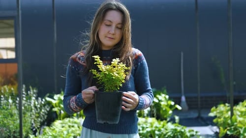 Portrait of a woman gardener with a plant for planting in her hands stands in a garden shop