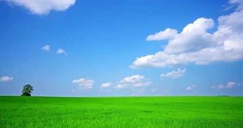 Zeitraffer bewegter Wolken über einer grünen Wiese