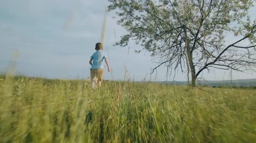 Pure Childhood Joy Rear View of Boy Running Through Open Field