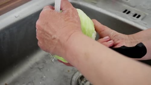 Hand Washing Fresh Cabbage Under Running Tap Water
