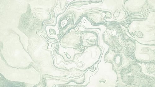 Animated Subtle Abstract Contour Lines Fluid Background