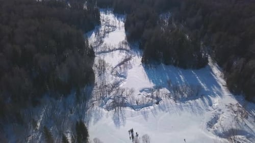 Blick von oben auf wunderschöne Winterlandschaften mit Wald