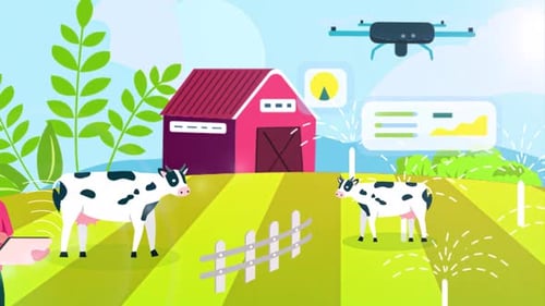 Farmer Using Drone For Farm