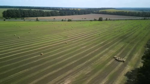 Round Hay Bales on the Green Field