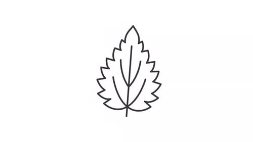 Animated nettle leaf line icon