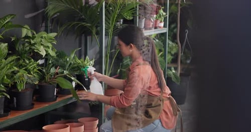 Gardening, water and woman with plants in nursery for growth, sustainability and healthy leaves