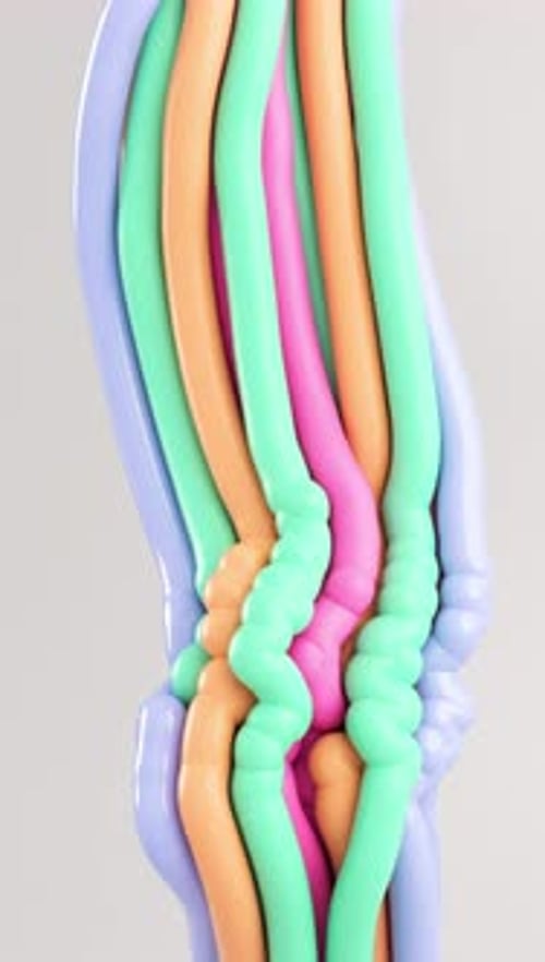 Animation en boucle 3D Motion Ropes