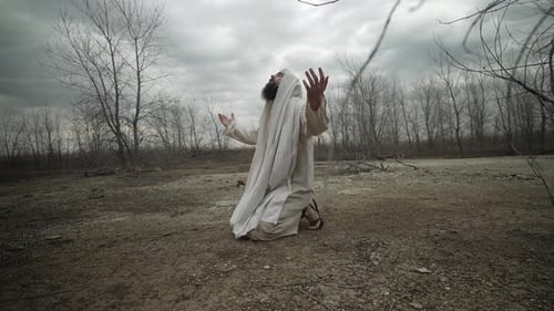 - Jesus Christ, bible, prophet, shepherd, nativity, Christmas, christianity, christian, angel, heave