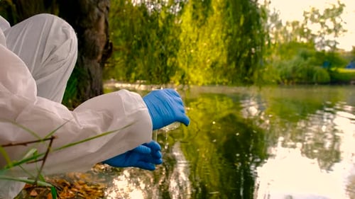 Conduct a Water Study on a River Selective Focus