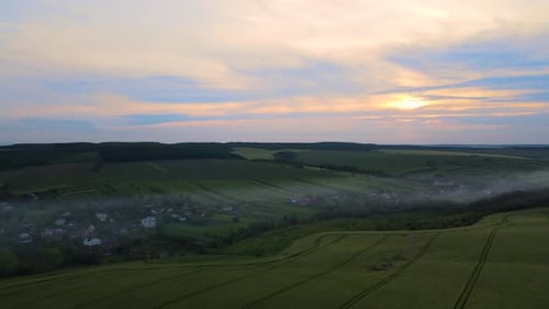 Aerial View of Green Cultivated Agricultural Fields with Growing Crops and Rural Village Houses