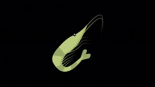 Shrimp | including alpha