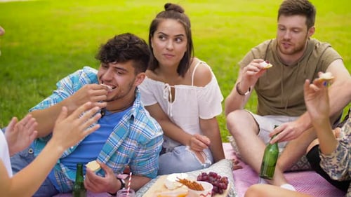 Friends Enjoying a Picnic on a Sunny Day