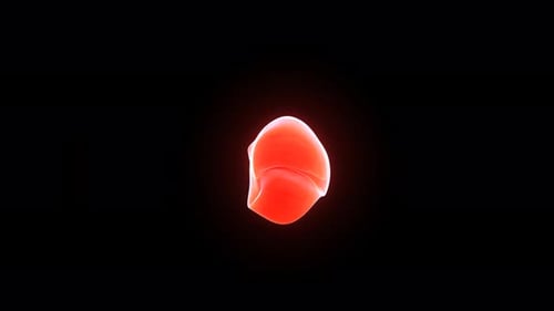 Digital 3d rendering of the human liver anatomy