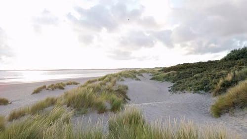 Aerial wide shot of waving grass of dunes, empty sandy beach and sun reflection on water surface of