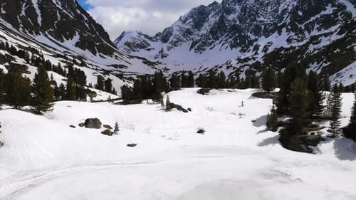 Snowy Valley Surrounded By Majestic Mountains and Pine Trees Media