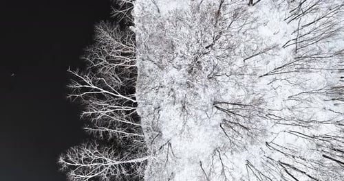Aerial view of frozen river and snowy forest in winter.