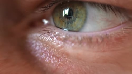 Human Man Eye Extreme Close Up Macro Shot of Male Green Eye Vision Healthy Eyesight Concept Front