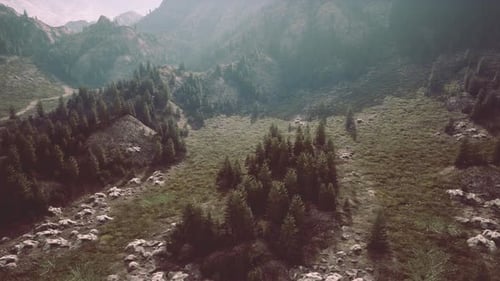 Cross Road on Hillside Meadow in Mountains