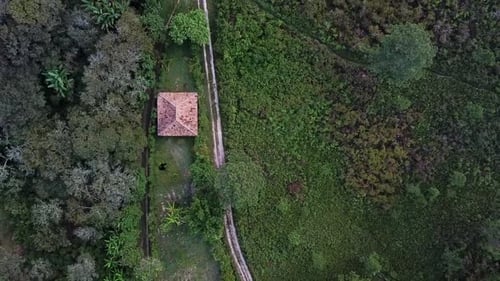 Drone shot of a small house in the middle of green forest