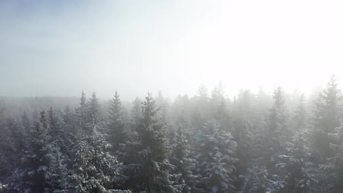 Vue aérienne, paysage de montagne mystérieux par une journée nuageuse d'hiver, forêt brumeuse, paysage hivernal