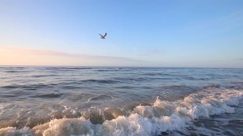 Wellen krachen am Strand, während Möwen über den Ozean fliegen. Sonnenuntergang und Sonnenaufgang am Meer und Strand