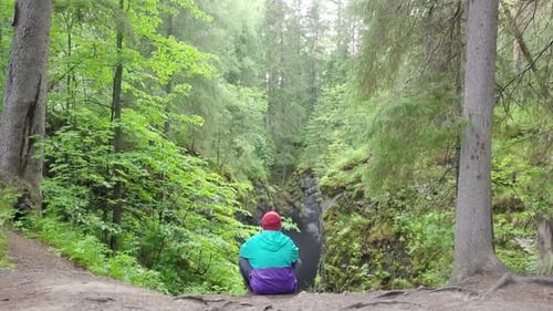 Hiker Contemplating a Deep Gorge in a Lush Forest