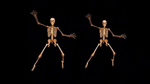 Two Skeleton Falling 2
