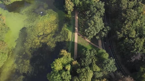 Drone over road next to lake and forest. People driving to work.
