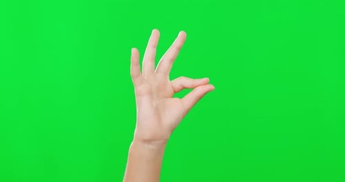 Closeup, perfect and hand with okay, green screen and support against a studio background