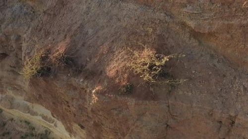 Flying Over the Sandy Texture Landscape in a Desert Environment