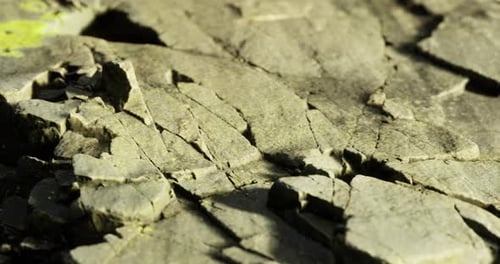 Detailed Textures of Cracked Stone Surface in Natural Lighting