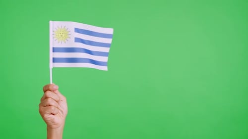 Hand holding flag on green screen