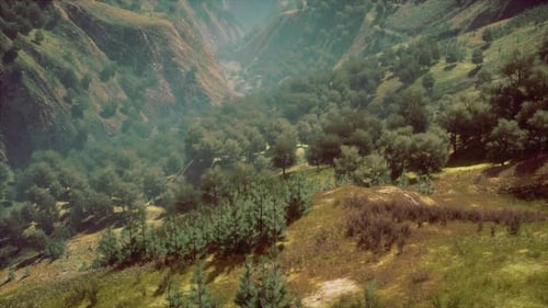 Aerial View of Lush Green Mountain Valley with Forest