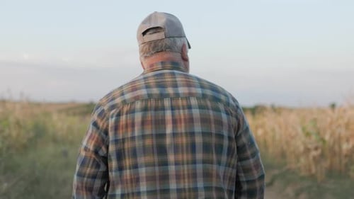 Back View Senior Farmer Walking Through Agricultural Field Embracing Rural Life