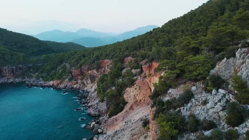 Seacoast Landscape with Cliff Shore and Mountains with Trees