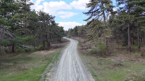 Forest Road