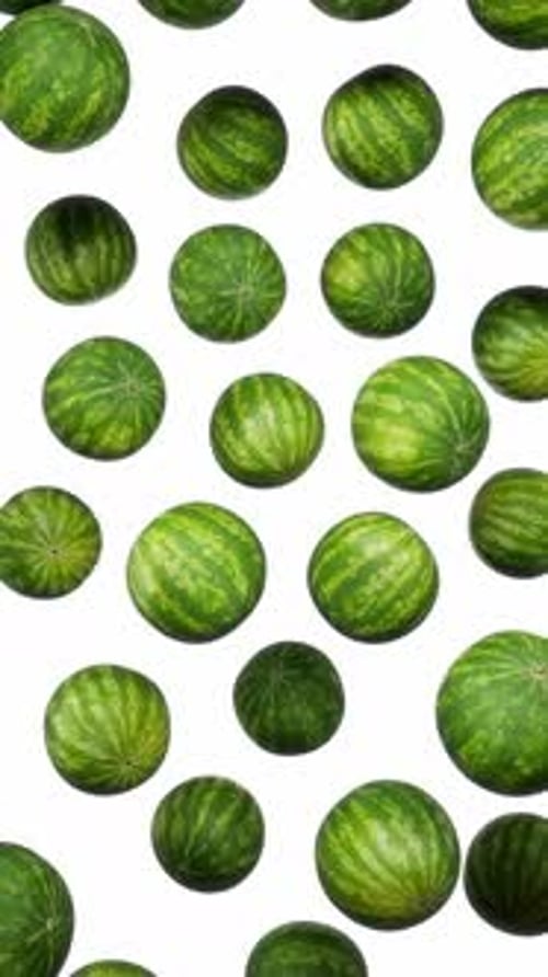 Vertical Floating Watermelons on White