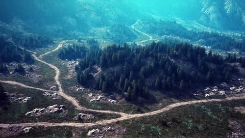 A Winding Road Through a Lush Forest Seen From Above