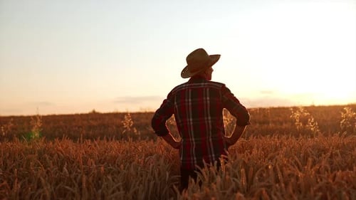 Male farmer in a hat stands in the field with his hands on the hips.