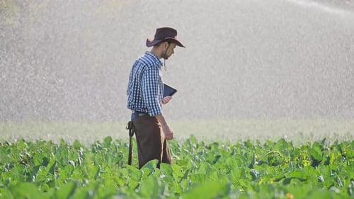 Farmer Using Digital Tablet During Monitoring His Plantation