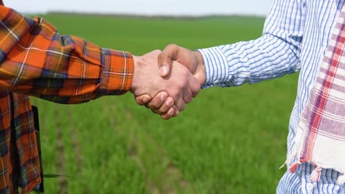 Two Multiracial Farmer Standing in a Wheat Field and Shake Hands Close Up
