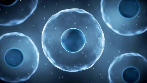 Visão microscópica de células biológicas