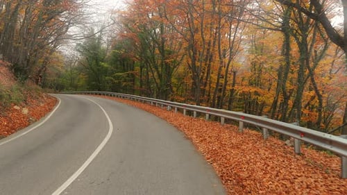 Vorwärts auf einer malerischen Herbststraße