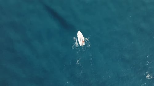 Un petit voilier navigue en mer